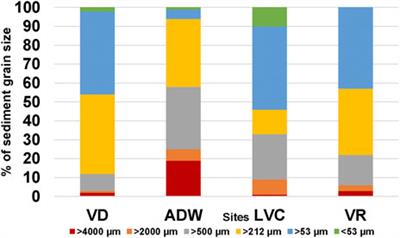 Gastric Microplastics in Clarias gariepinus of the Upper Vaal River, South Africa